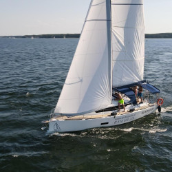 Vector 33.3 Gladiator