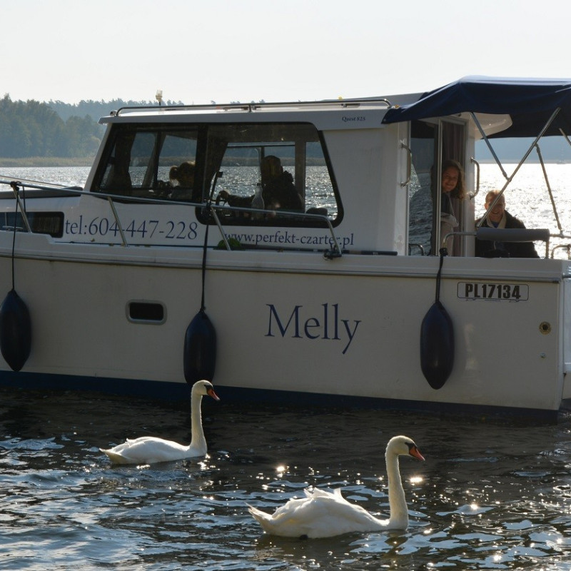Quest 825